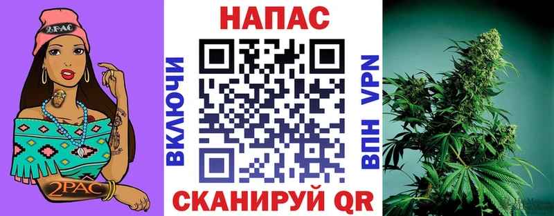 Бошки Шишки Amnesia купить наркотик Судак
